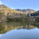 세량2 남도일보