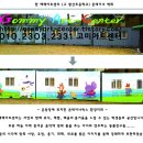 강릉초등학교 이미지