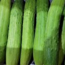 봉재농장 이미지