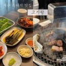 돼지왕 | 흑돼지로 건물세운 제주 애월 흑돼지맛집 추천 고기왕 후기