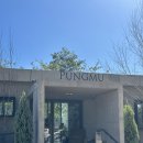 김포풍무동물약국 | 김포 풍무 카페 : 가을에 가기 좋은 카페, ‘카페풍무’ 내돈내산 후기