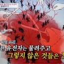 국립소록도병원 한센병박물관 이미지