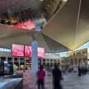 대신카프라자 이미지