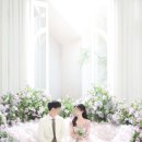 루나플라워 | [대구 르안스튜디오(루나)] 15. 플라워 소파 배경 후기