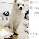 드에르모사