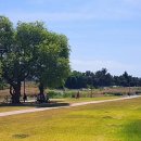 남천둔치1 이미지