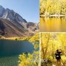 (주)모노투어