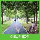 오학 걷고싶은거리 | 여름철 시원한 나무 그늘 아래서 즐기는 여유로운 산책! ‘오학 걷고 싶은 거리’