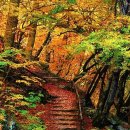 선근이네 이미지