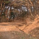 남산 홍주사 이미지