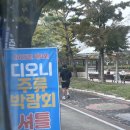 할로윈 아이랑 가기좋은 카페 디오니 디오니 와인박람회 후기