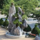 해바라기캠핑장 네이버블로그
