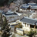 차이황 이미지