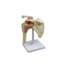 (주)진산메디칼 이미지