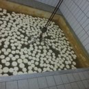 월출목장 이미지