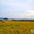 웅도 어촌체험마을 이미지