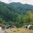 캄파슬로우캠핑장 | [공지] 비 오는 날에도 최고! 강원도 캄파슬로우 캠핑장 &amp; 편백 사우나 솔직 후기