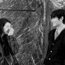 태형수지 이미지