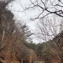 김삿갓로 | 영월 4경 김삿갓유적지 난고 김삿갓문화관 동강 따라 드라이브와 산책까지 한 번에 즐기는 여행