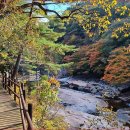 수곡용계로(길안면) 이미지