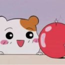 라라홍메이크업 이미지