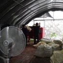 다온농장(2) 이미지