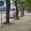 남산비타민약국