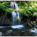 향촌가든 이미지