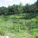 갈곡 연정 이미지