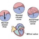 강앤정 동물병원 이미지