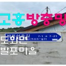 고흥자동차유리