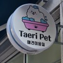 태리펫 네이버블로그