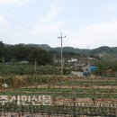 버드래미 이미지