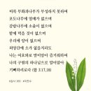 포도나무365 이미지
