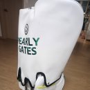 300034 | 🎁 남편 생일선물로 준비한PEARLY GATES 캐디백 언박싱 후기 | 10년 넘은 캐디백과 작별!