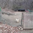 자룡농장 이미지