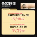 브이에스라인의원 이미지