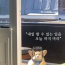 파스타마마 - 용인시 처인구 포곡로118번길 3 | 파스타마마