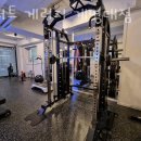 스쿼트게러지 이미지