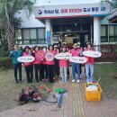 봉평동주민자치센터 이미지