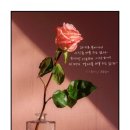 나잡아바라 이미지