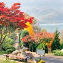 탄금공원 (탄금대로 방향) | 충북 단풍 명소 가을 여행지 추천, 충주 드림숲 석종사 탄금대공원 백일홍