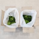 주식회사 이자벨 | [리브팜] 당일수확 수경재배 유러피안채소 1.6kg 후기