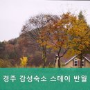 스테이반월 이미지