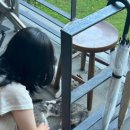 태형목장 이미지