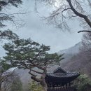 영남분회경로식당 | 경북 문경 가볼만한곳 문경새재 1관문 주흘관에서 2관문 조곡관까지