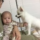 주아야놀자
