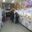 뽑앗나방 이미지