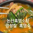 금성집