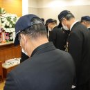 조*환 Daum카페
